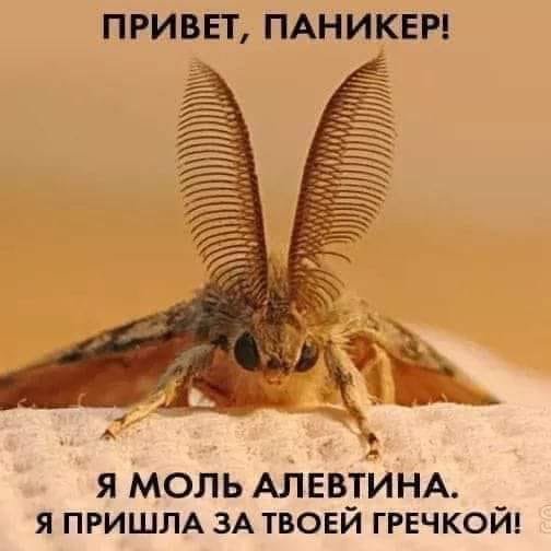 Пандемія чи привід для жартів: підбірка смішних картинок т..., фото-10 Пандемія чи привід для жартів: підбірка смішних картинок та мемів про коронавірус, фото-10